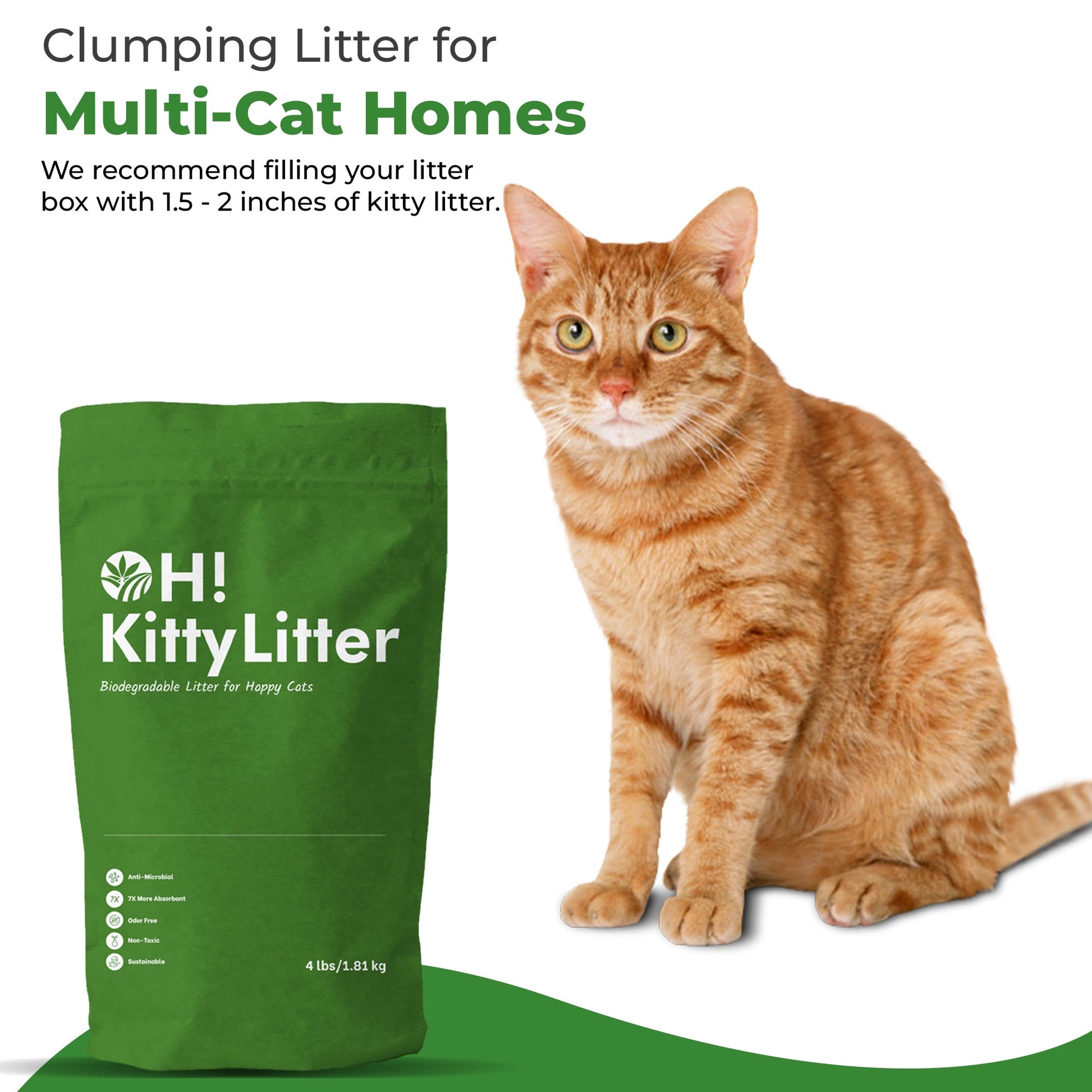 Best Cat Litter - Oley Health and Wellness