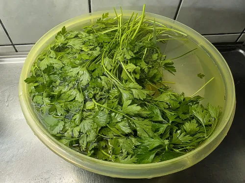 Parsley