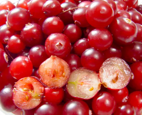 Cranberry