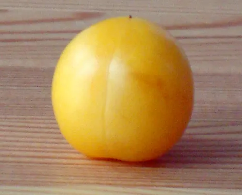 Plum